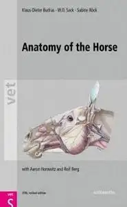 كتاب Anatomy of the Horse - 5th ed