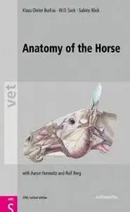 Anatomy of the Horse - 5th ed