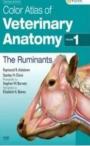 كتاب Atlas of Anatomy Veterinary