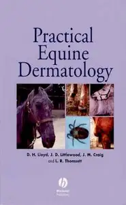 Practical Equine Dermatology