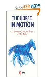 The horse in motion