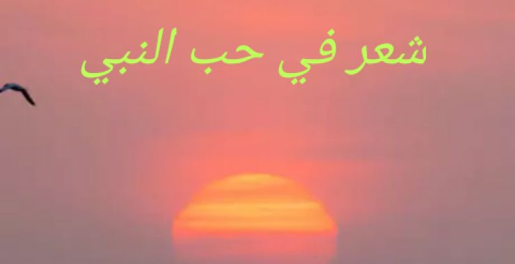 شعر