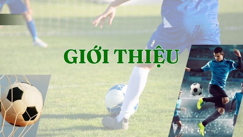 giới thiệu