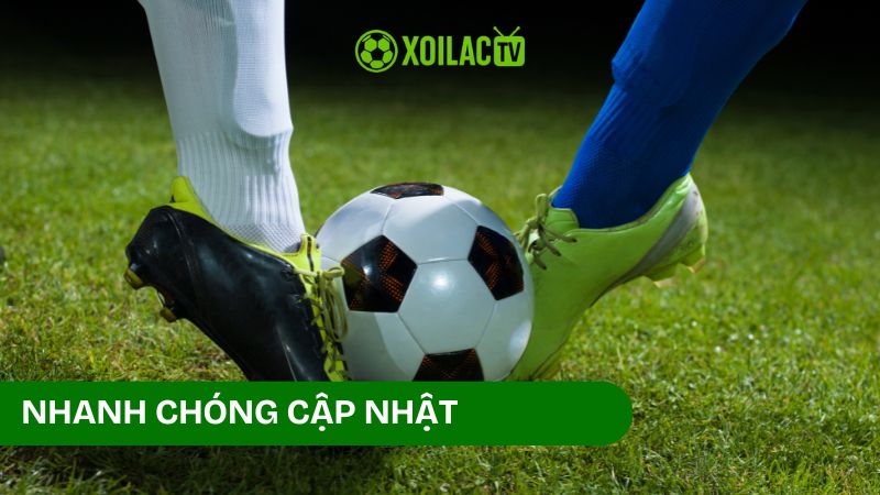 Các nội dung hiển thị trong chuyên mục